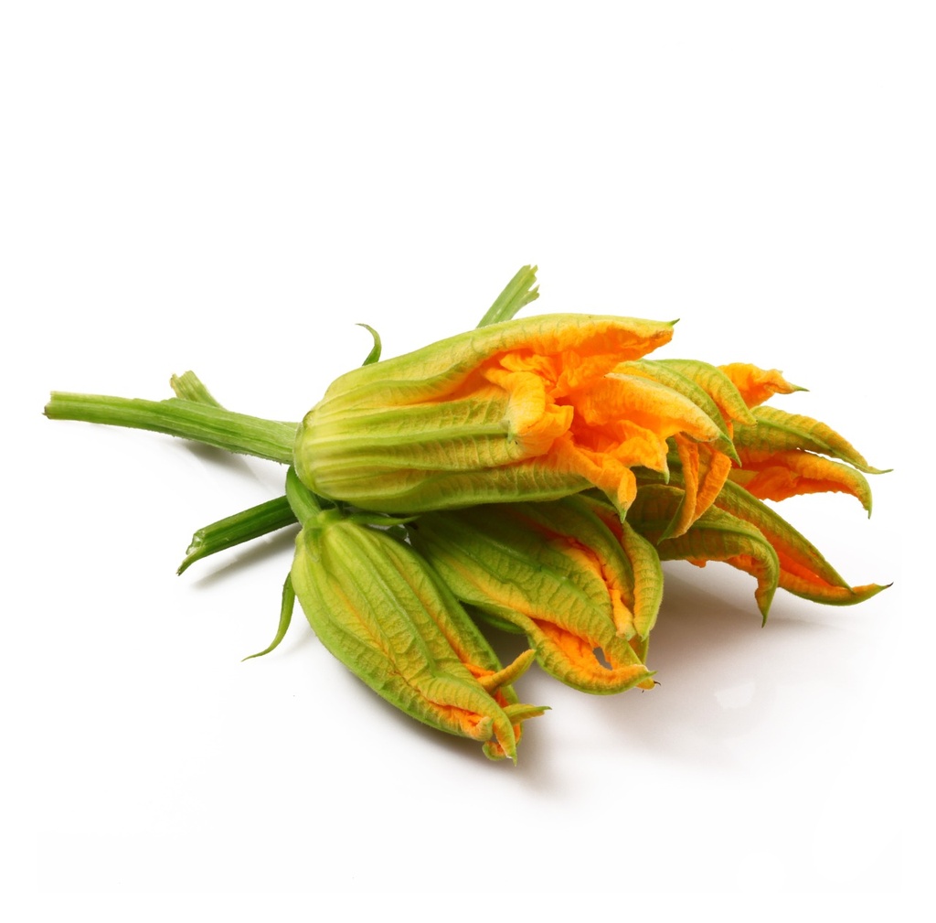 Flor de calabaza