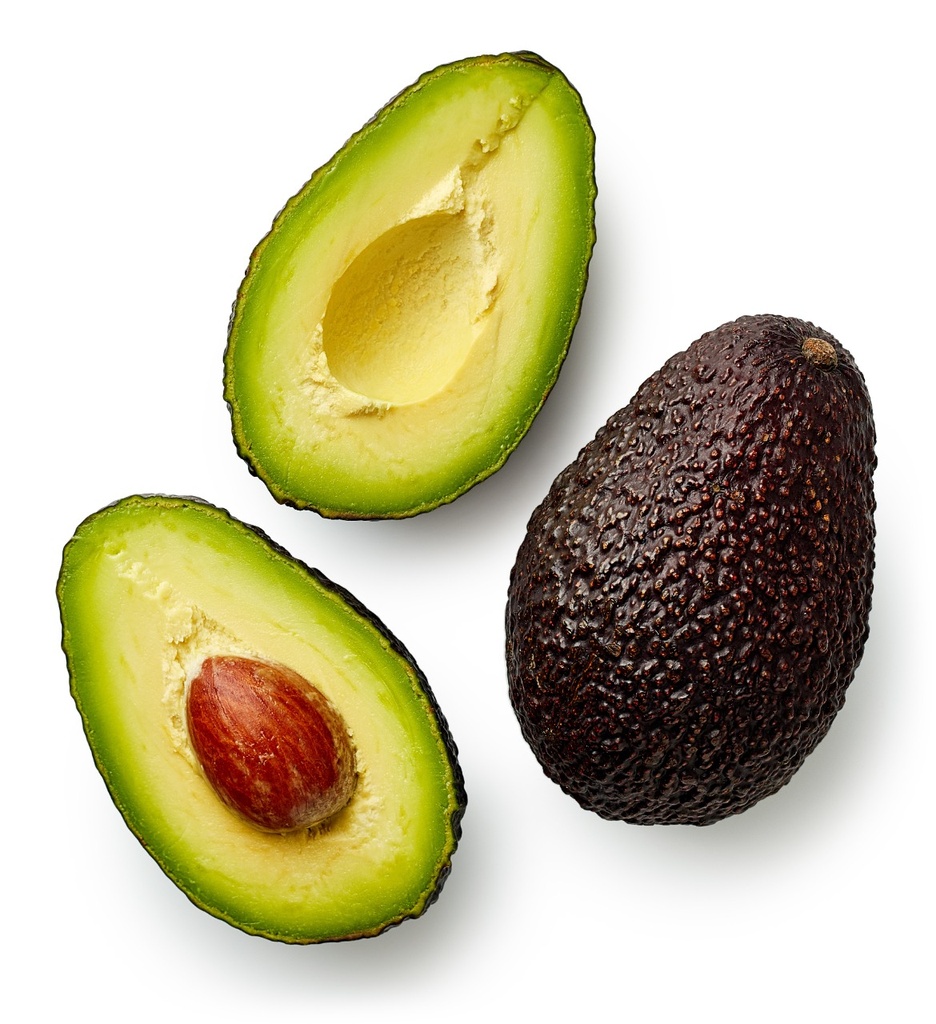Aguacate haas