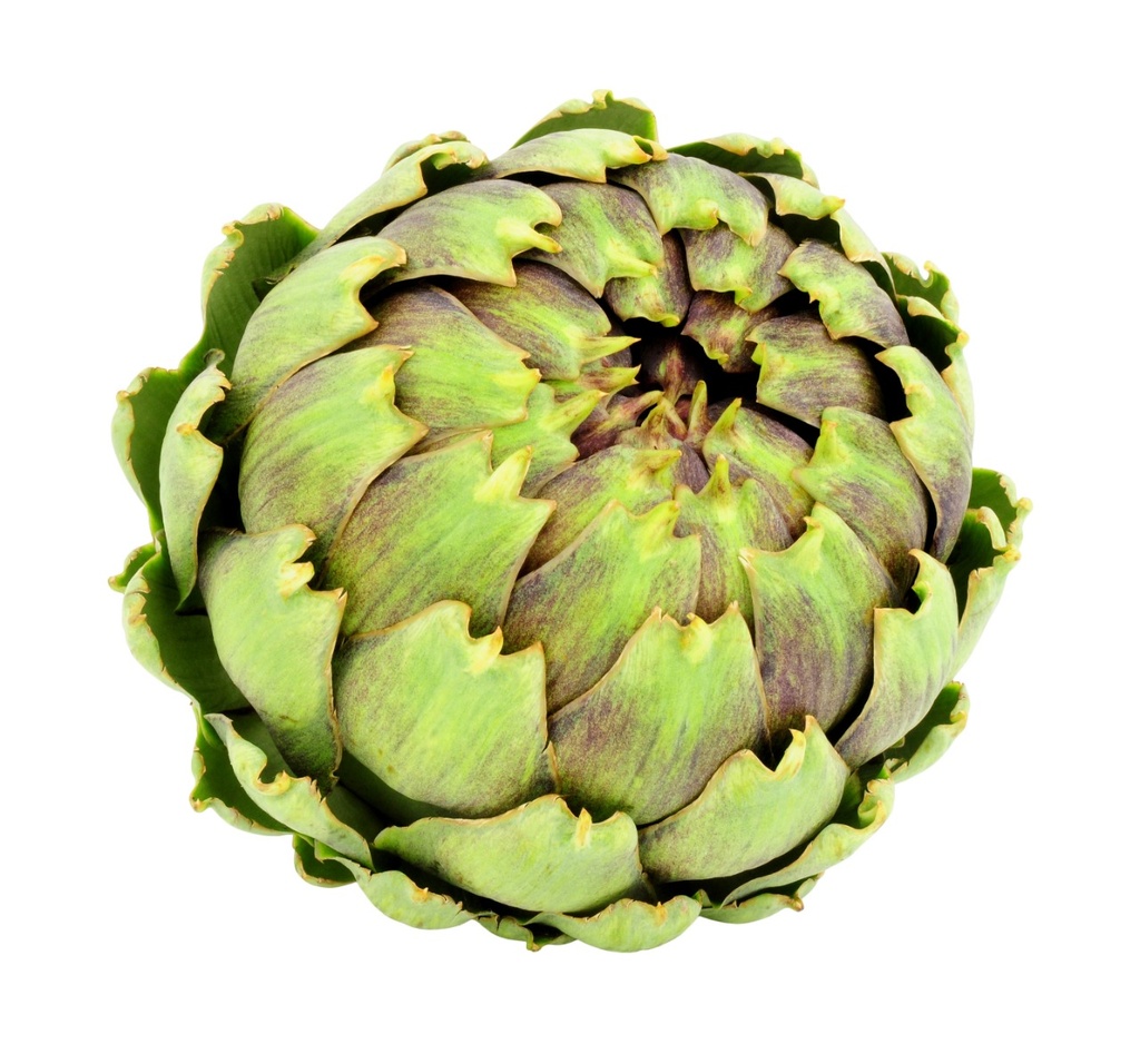 Alcachofa