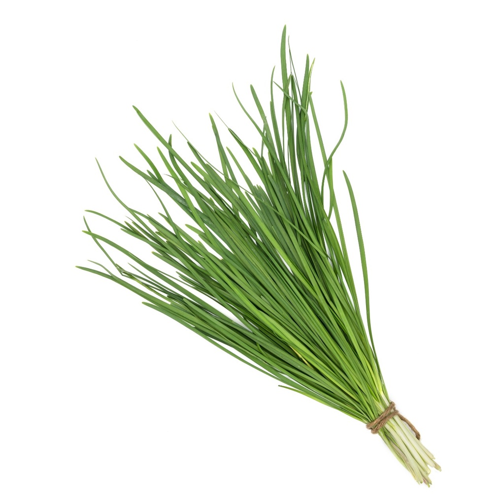 Cebollín