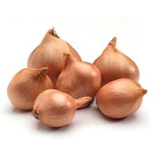 Ajo chalote