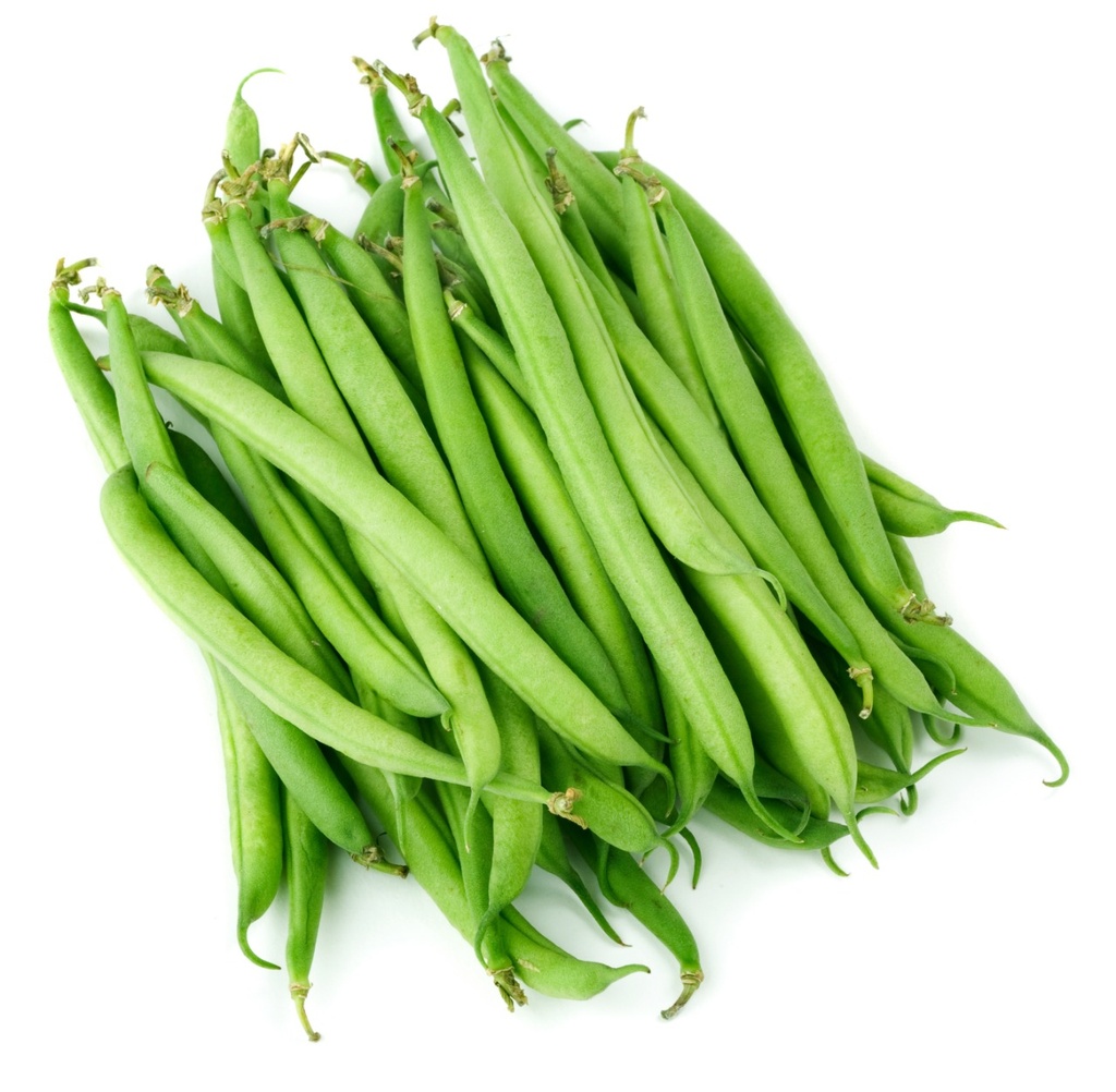 Ejote