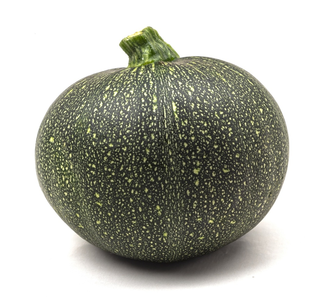 CALABAZA BOLA