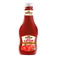 CATSUP 380 GR