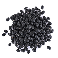 Frijol negro