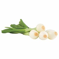 Cebolla cambray con rabo