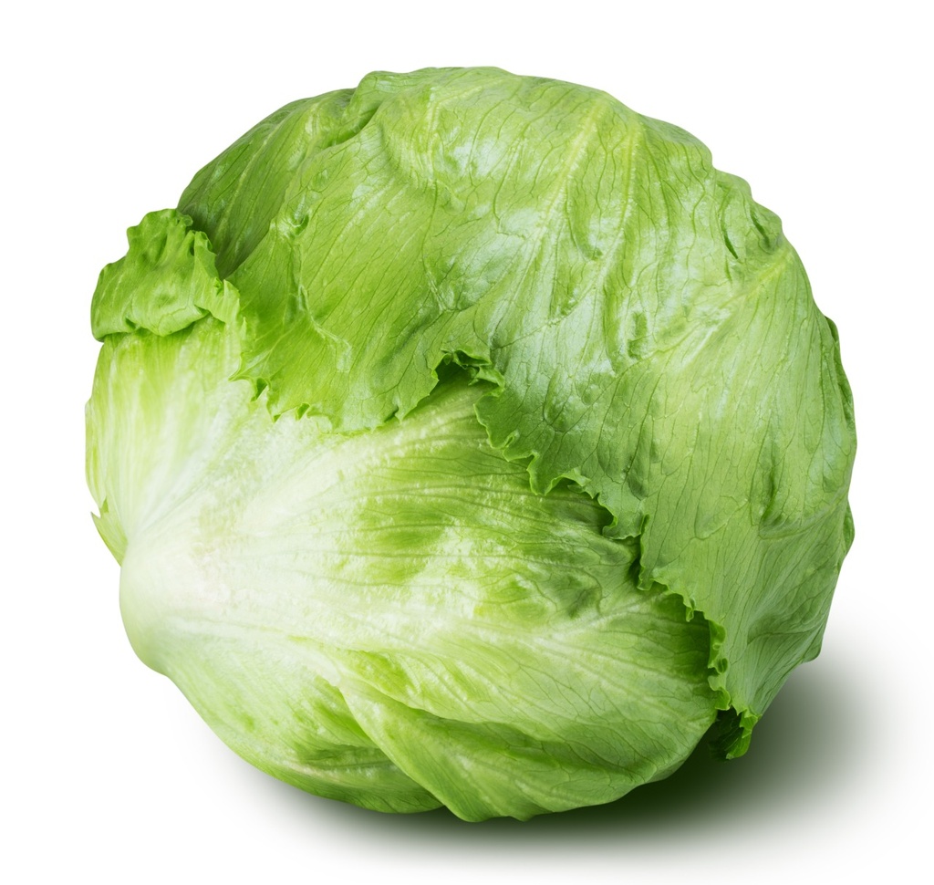 Lechuga francesa