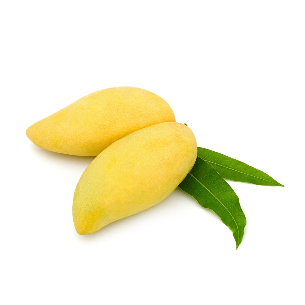 Mango manila