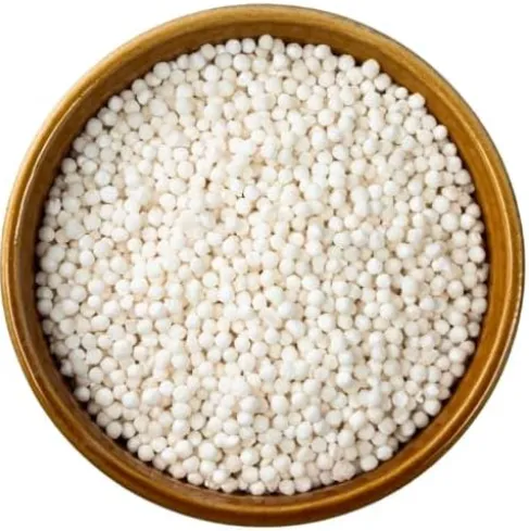 TAPIOCA