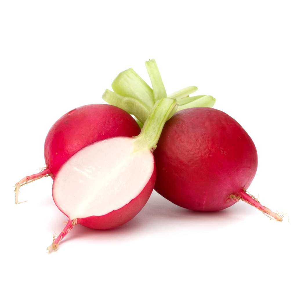 RÁBANO