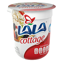 Queso cottage 125 gr