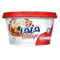 Queso cottage 350 gr