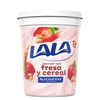 Yogurt batido fresa-cereal 1 kg