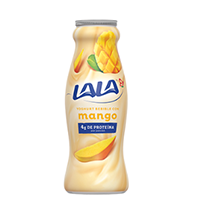 YOGURT MANGO 240 GR