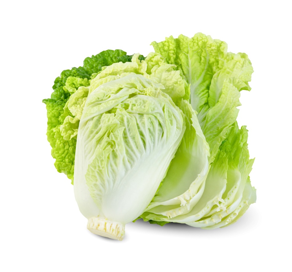 LECHUGA NAPA
