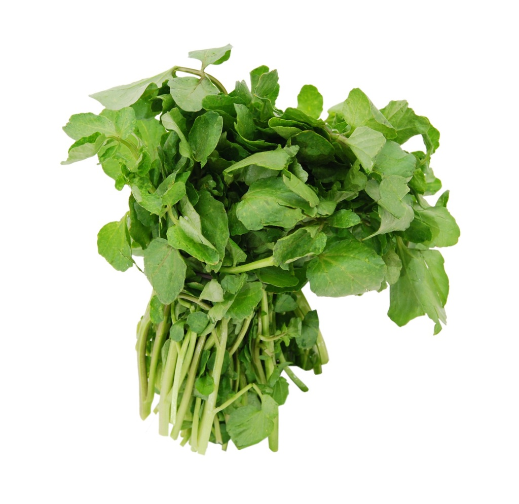 Berros
