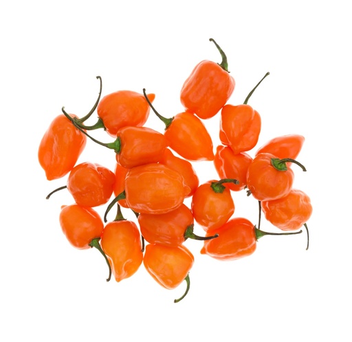 Chile habanero