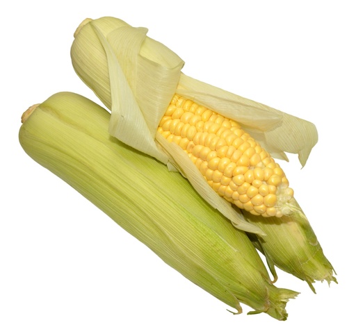 Elote blanco