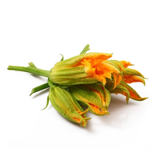Flor de calabaza