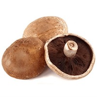 Hongos portobello