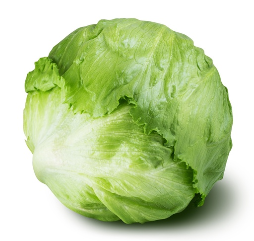 Lechuga francesa