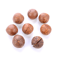 Nuez macadamia