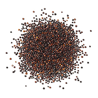 Quinoa negra