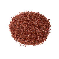 Quinoa roja