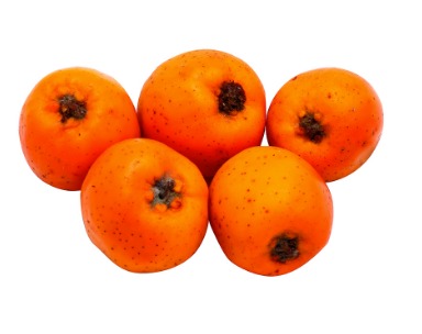 Tejocote