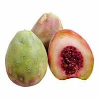 Xoconostle
